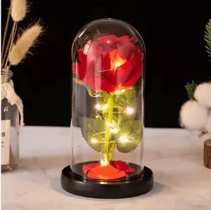 LED Rose Lamp in Glass Dome – Romantic Eternal Flower Light Gift -Not Costly than your Relationship